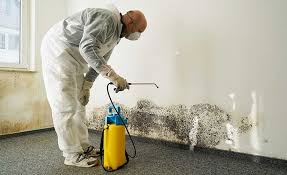 Best Industrial Mold Remediation  in Baldwin, FL