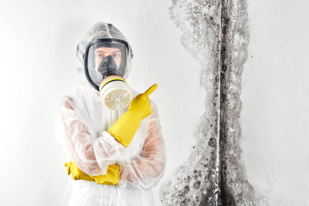 Mold Remediation for Vacation Homes in Baldwin, FL