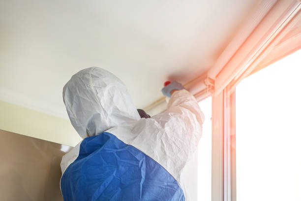 Best Environmental Consulting for Mold Prevention  in Baldwin, FL