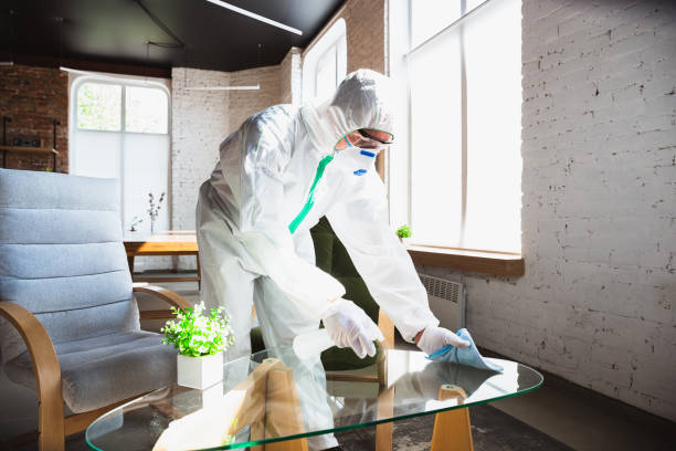 Best Forensic Mold Investigation  in Baldwin, FL